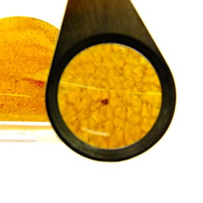 Baltic Amber Polished Face Specimen with Insect Inclusion.   SP15203POL