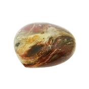 Petrified Wood Polished Heart.   SP16132POL