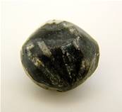 CHRYSANTHEMUM STONE POLISHED PEBBLE SPECIMEN. SP8600POL