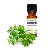 PURE ESSENTIAL OIL - CORIANDER, coriandum sativum. SPR8474