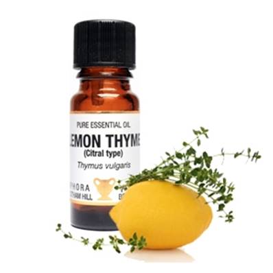 PURE ESSENTIAL OIL - LEMON THYME (citral type), thymus vulgaris. SPR8479