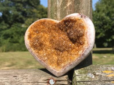 CITRINE DRUZE HEART WITH POLISHED EDGE.   SP11152POL