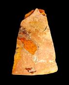 TIGERSEYE ROUGH NODULE SPECIMEN.   SP11399SHLF