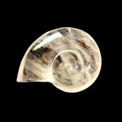 CARVING OF AN AMMONITE IN QUARTZ.   SP13898POL