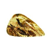 Copal (Young Amber) Fully Polished Specimen.   SP15986POL