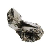 Raw Mica Specimen With Black Tourmaline Inclusions.   SP16356SLF