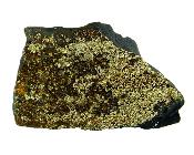 Shungite Raw Crystal Specimen Features Iron Pyrite Formations.   SP16615