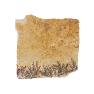 Pyrolusite Dendrites In Matrix Crystal Specimen.   SP17010