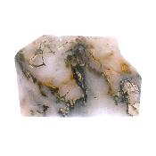 Green Moss Agate Fully Polished Slice Specimen.   SP17202POL