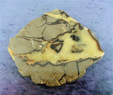 SEPTARIAN POLISHED SLICE SPECIMEN.   SP6809POL