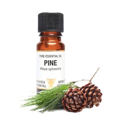 PURE ESSENTIAL OIL - PINE. pinus sylvestris. SPR1072