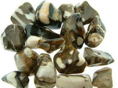 Peanut wood polished tumble stones.    SPR2773POL