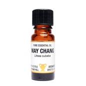 PURE ESSENTIAL OIL - MAY CHANG, litsea cubeba. SPR8641