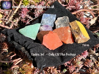 CHAKRA SET OF ROUGH GEM STONES in pouch    SPR14093