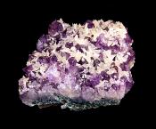 AMETHYST DRUZE/ CLUSTER  SPECIMEN.   SP11238