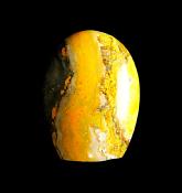 BUMBLE BEE JASPER POLISHED FREE FROM SPECIMEN.   SP11673POL