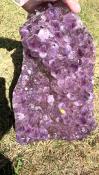 AMETHYST DRUZE/ CLUSTER SPECIMEN.   SP12637SHF 