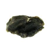 Darwin Glass Tektite Specimen.   SP15762