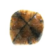 Chiastolite Cross Polished Face Slice Specimen.   SP15818POL