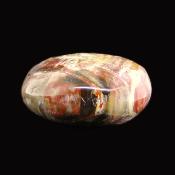 Petrified Wood Polished Pebble/ Palm Stone.   SP16020POL