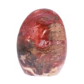 Petrified Wood Fully Polished Nodule Specimen.   SP17181POL