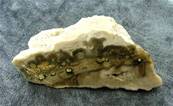 ORBICULAR JASPER POLISHED FACE NUDULE SPECIMEN. SP4960POL