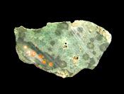 ORBICULAR JASPER SLICE SPECIMEN.   SP10993