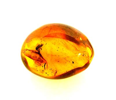 AMBER & COPAL SPECIMENS