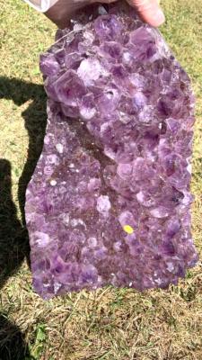 AMETHYST DRUZE/ CLUSTER SPECIMEN.   SP12637SHF 