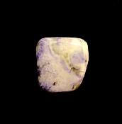 TIFFANY STONE POLISHED PEBBLE/ PALMSTONE.   SP12977POL