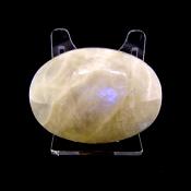 Polished Palmstone In Rainbow Moonstone.   SP15462POL