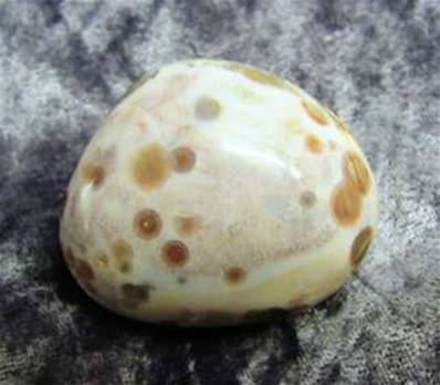 ORBICULAR JASPER POLISHED PEBBLE SPECIMEN (MADAGASCAR). SP4082POL