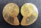 AMMONITE POLISHED FACE PAIR (MADAGASCAR). SP4105POL