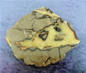 SEPTARIAN POLISHED SLICE SPECIMEN.   SP6809POL