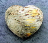 PETRIFIED WOOD HEARTS