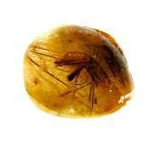 QUARTZ DOME POLISHED PEBBLE SPECIMEN FEATURING GOLDEN RUTILE INCLUSIONS.   SP10812POL