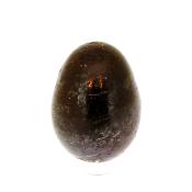 Gemstone Egg in Ferotantalite.   SP15281POL