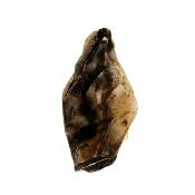 Lithium Quartz Raw Crystal Specimen.   SP16879 