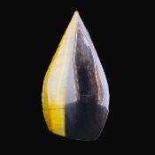 Tiger's Eye Fully Polished 'Flame' Carving.   SP17157POL