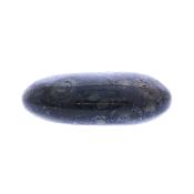 Kambaba Jasper Polished Oval Palm Stone.   SP17222POL