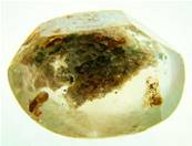 DOME POLISHED QUARTZ PEBBLE SPECIMEN. SP2465POL