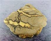 SEPTARIAN POLISHED SLICE SPECIMEN.   SP6809POL