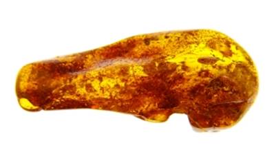 POLISHED BALTIC AMBER SPECIMEN. SP8617POL