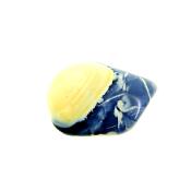 OWYHEE BLUE OPAL POLISHED PEBBLE.   SP13649POL