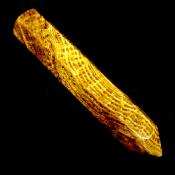 GEMSTONE PENCIL POINT IN BANDED ARAGONITE.   SP15038POL