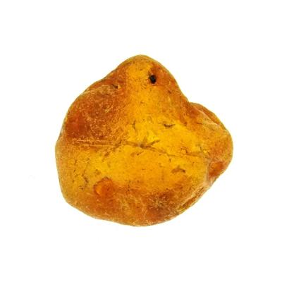 Baltic Amber Raw Specimen.   SP15588