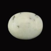 Dendritic Agate Polished Pebble/ Palm Stone.   SP16026POL