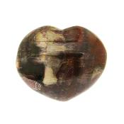 Petrified Wood Polished Heart.   SP16131POL