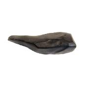 Dreikanter (German for three edged) Ventifact Wind Eroded Stone.   SP16348