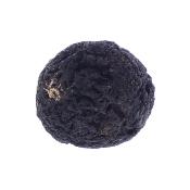 Agni Manitite Raw crystal Specimen.   SP16944